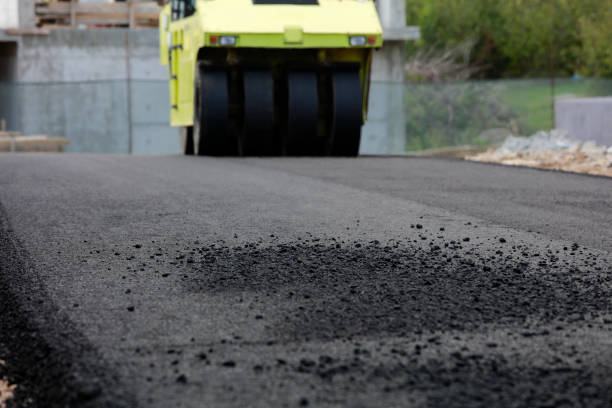 Best Residential Driveway Paving in Fredonia, AZ